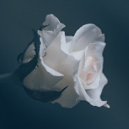Information
